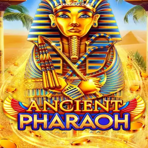 Exploring the Enigmatic World of AncientPharaoh: The Premier Choice on XX666.COM