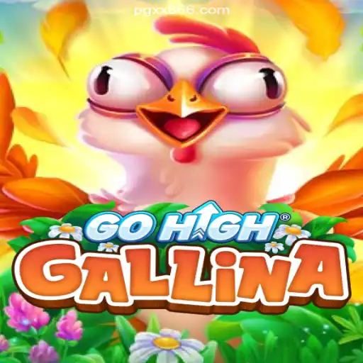 Discovering the Excitement of GoHighGallina: The Ultimate Online Casino Experience on XX666.COM